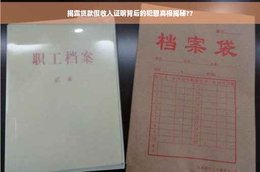 揭露贷款假收入证明背后的犯罪真相揭秘??