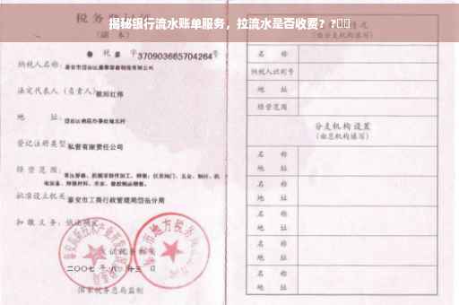 揭秘银行流水账单服务，拉流水是否收费？?⚡️