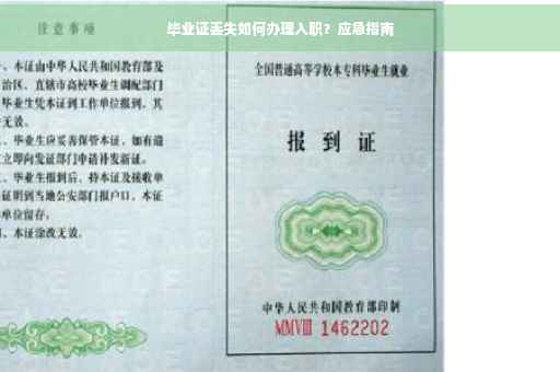 毕业证丢失如何办理入职？应急指南