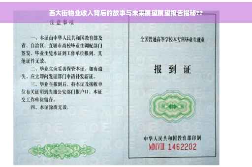 西大街物业收入背后的故事与未来展望展望报告揭秘??