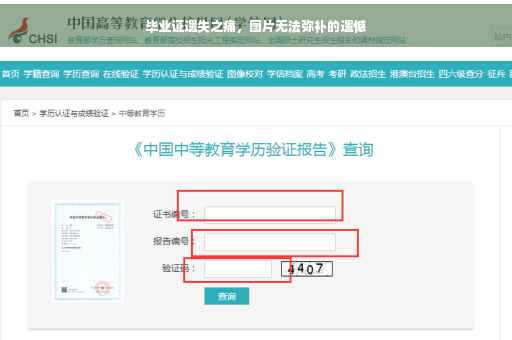 毕业证遗失之痛，图片无法弥补的遗憾