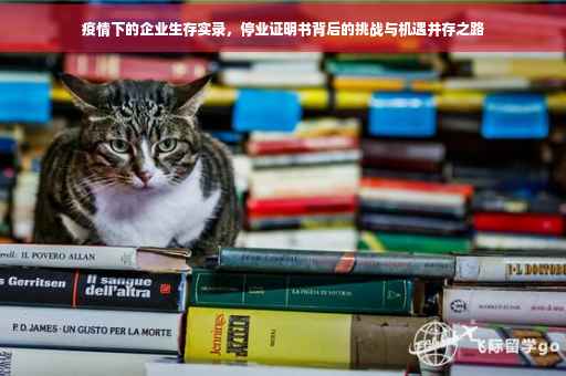 疫情下的企业生存实录，停业证明书背后的挑战与机遇并存之路