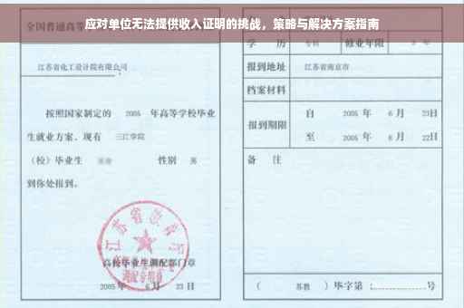 应对单位无法提供收入证明的挑战，策略与解决方案指南