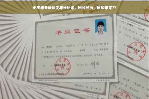 小学毕业证遗失与分班考，回顾经历，展望未来??