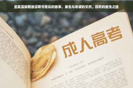 武昌监狱释放证明书背后的故事，重生与希望的交织，囚犯的新生之旅