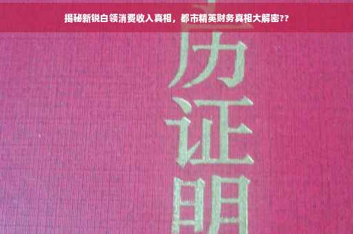 揭秘新锐白领消费收入真相，都市精英财务真相大解密??