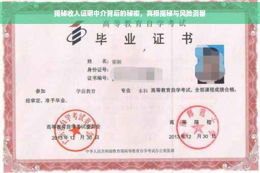揭秘收入证明中介背后的秘密，真相揭秘与风险洞察