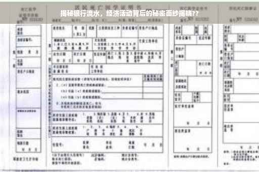 揭秘银行流水，经济活动背后的秘密面纱揭晓??