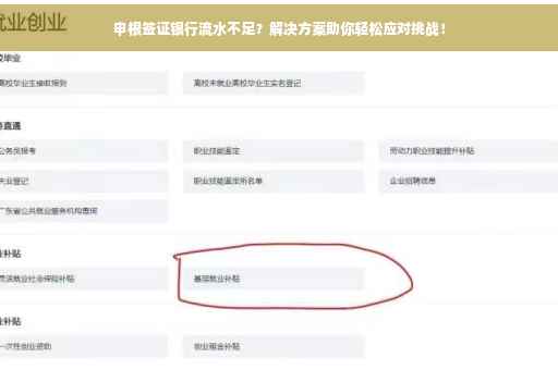 申根签证银行流水不足？解决方案助你轻松应对挑战！