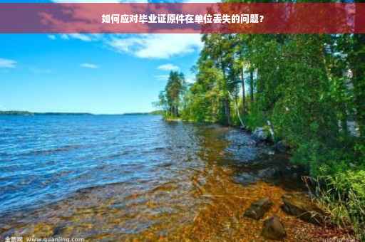 如何应对毕业证原件在单位丢失的问题？