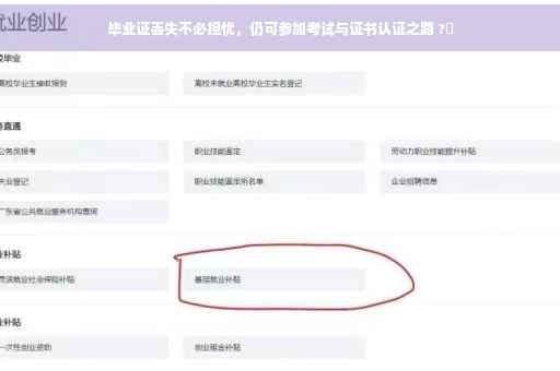 毕业证丢失不必担忧，仍可参加考试与证书认证之路 ?✨