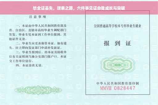 毕业证丢失，逆袭之路，六件事见证自我成长与突破