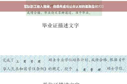 军队职工收入揭秘,待遇构成与公众认知的差距探讨?⚡️ 军队职工收入揭秘,待遇构成与公众认知的差距探讨?⚡️