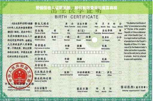 警惕假收入证明风险，如何有效查询与揭露真相