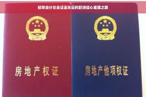初级会计毕业证丢失后的职场信心重建之路