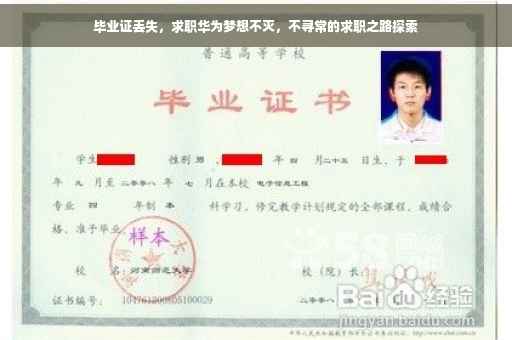 毕业证丢失，求职华为梦想不灭，不寻常的求职之路探索