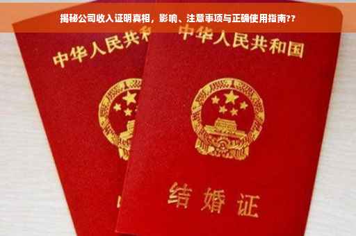 揭秘公司收入证明真相，影响、注意事项与正确使用指南??