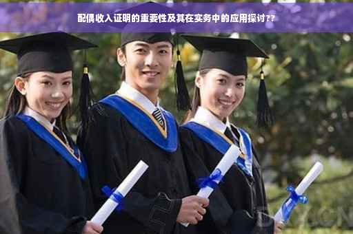 配偶收入证明的重要性及其在实务中的应用探讨??