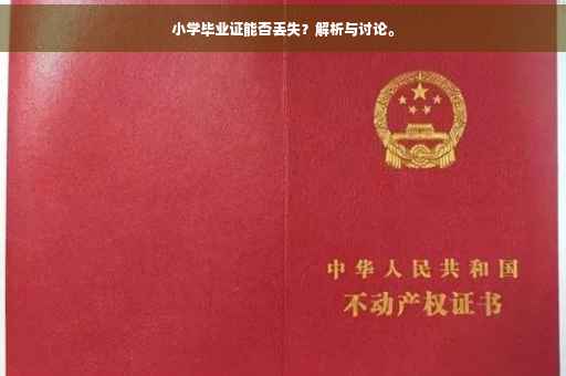 小学毕业证能否丢失？解析与讨论。