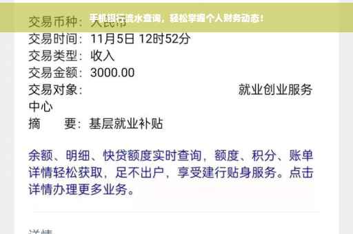手机银行流水查询，轻松掌握个人财务动态！