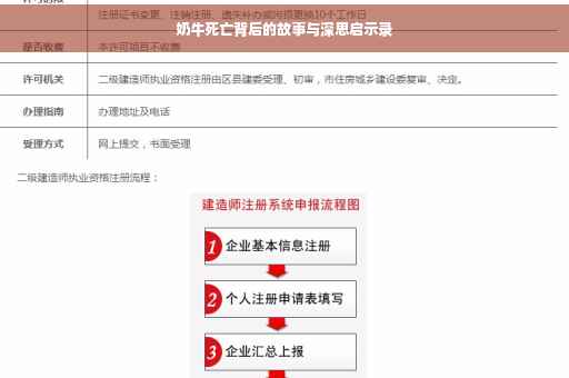 奶牛死亡背后的故事与深思启示录