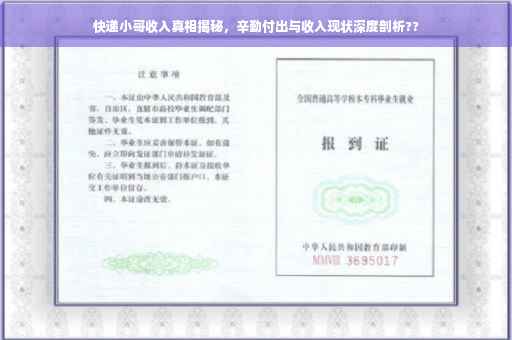 快递小哥收入真相揭秘，辛勤付出与收入现状深度剖析??