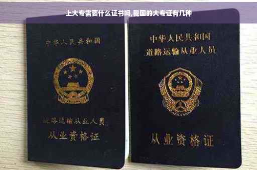 上大专需要什么证书吗,我国的大专证有几种