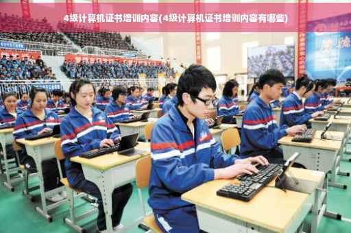 4级计算机证书培训内容(4级计算机证书培训内容有哪些)