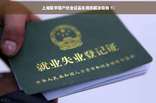 上海留学落户毕业证丢失危机解决指南 ?✨