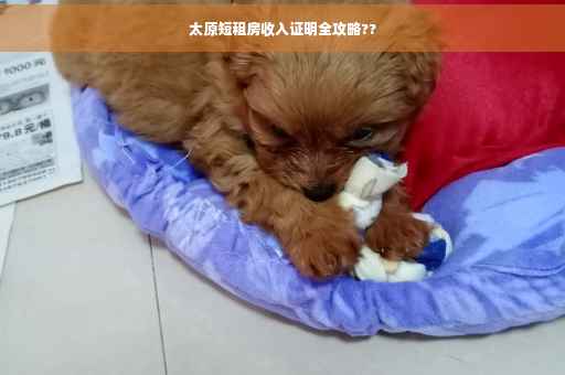 太原短租房收入证明全攻略??