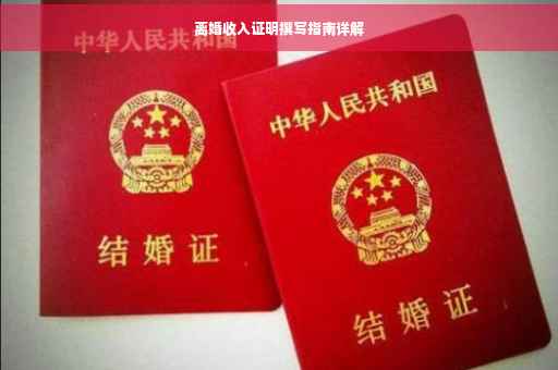 离婚收入证明撰写指南详解