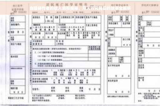 自媒体作者的收入真相揭秘，月入万元背后的故事全解析