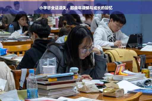 小学毕业证遗失，那些年遗憾与成长的回忆