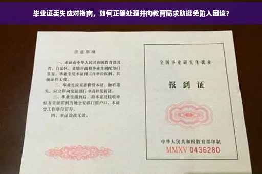 毕业证丢失应对指南，如何正确处理并向教育局求助避免陷入困境？