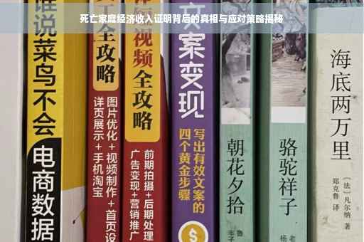 死亡家庭经济收入证明背后的真相与应对策略揭秘