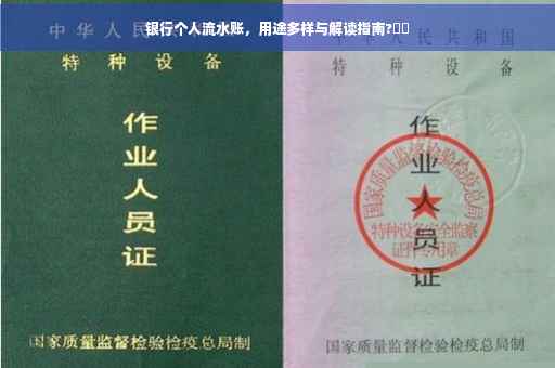 银行个人流水账，用途多样与解读指南?⚡️
