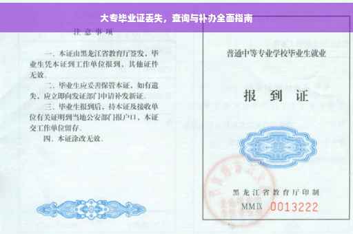 大专毕业证丢失，查询与补办全面指南