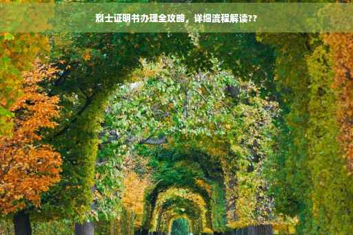烈士证明书办理全攻略，详细流程解读??