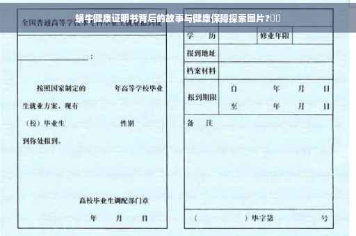 蜗牛健康证明书背后的故事与健康保障探索图片?⚡️