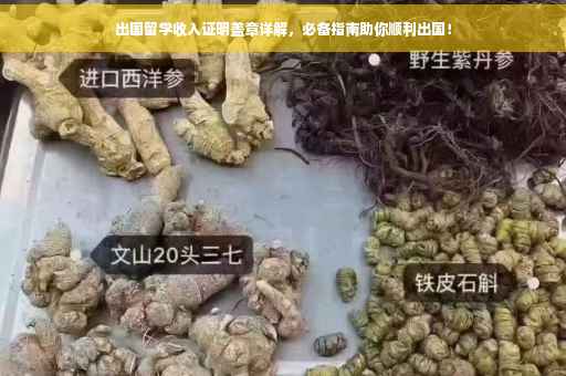 出国留学收入证明盖章详解，必备指南助你顺利出国！