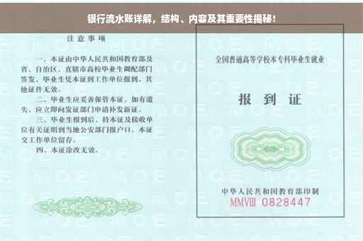 银行流水账详解，结构、内容及其重要性揭秘！