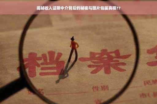 揭秘收入证明中介背后的秘密与图片包装真相??