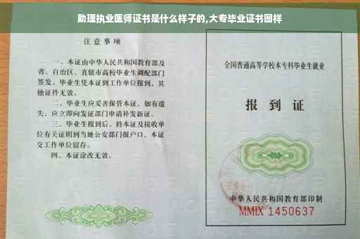 助理执业医师证书是什么样子的,大专毕业证书图样