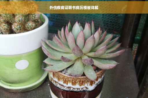 外伤疾病证明书病历模板详解