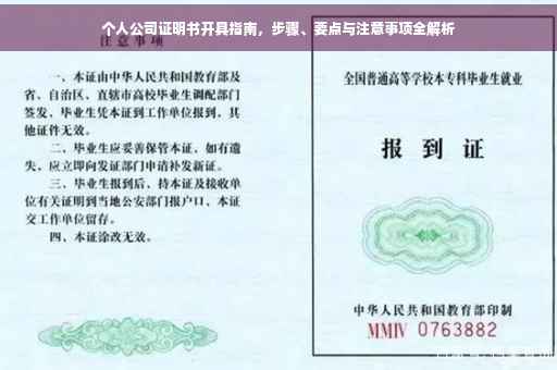 个人公司证明书开具指南，步骤、要点与注意事项全解析