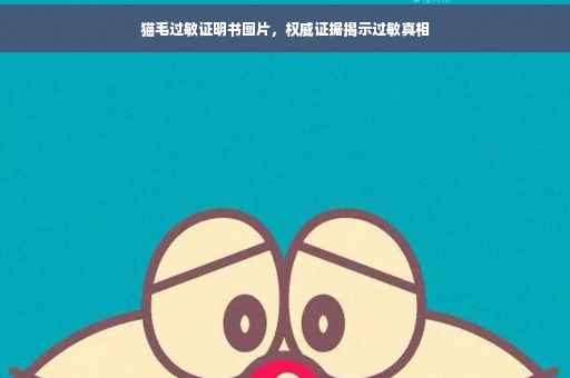 猫毛过敏证明书图片，权威证据揭示过敏真相