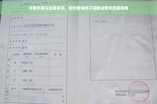 详细步骤与注意事项，如何查询孩子保险证明书流程指南
