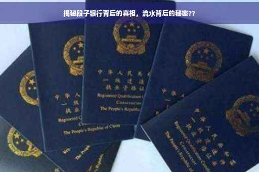 揭秘段子银行背后的真相，流水背后的秘密??