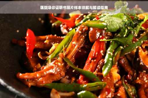 医院急诊证明书图片样本详解与解读指南