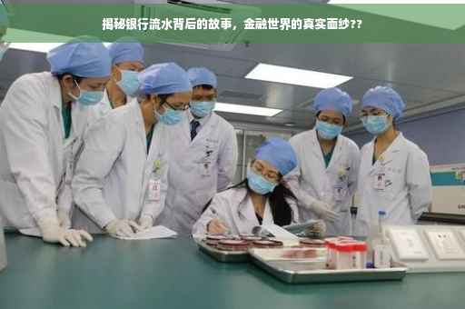 揭秘银行流水背后的故事，金融世界的真实面纱??